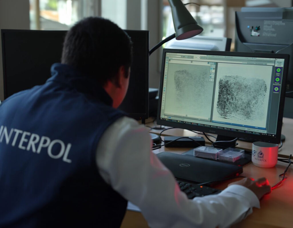 Estafas de ingeniería social: La gran operación de Interpol que sorprendió al mundo